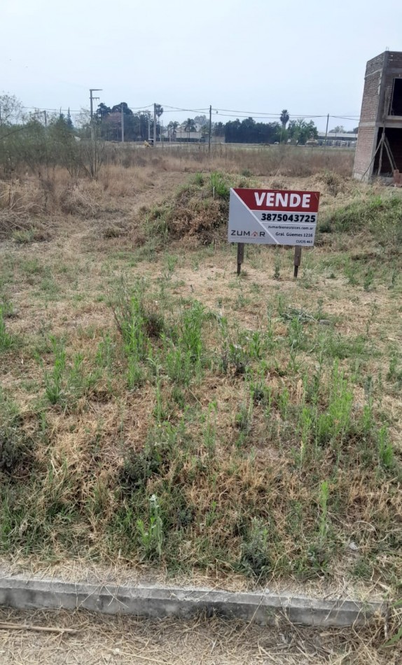 TERRENO EN VENTA EN LA GUILLERMINA